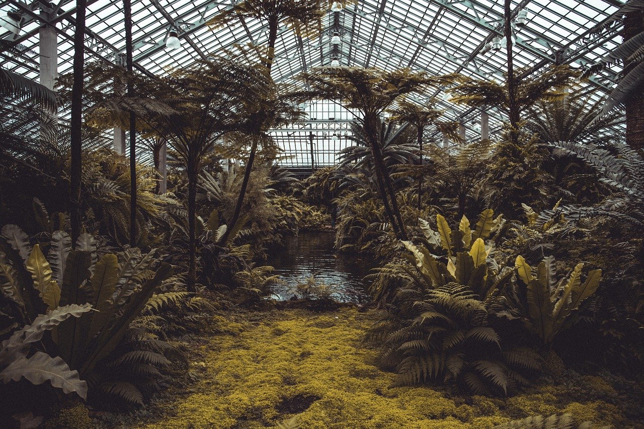 De la botanique à la phytothérapie : Quelle différence?